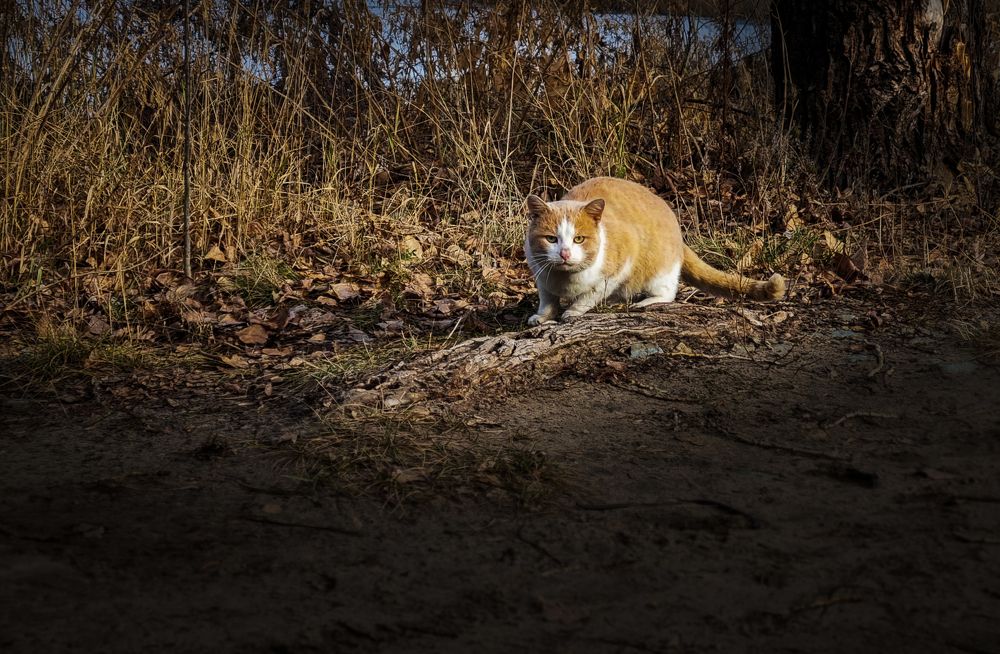 Photograph by Сергей Аксёнов