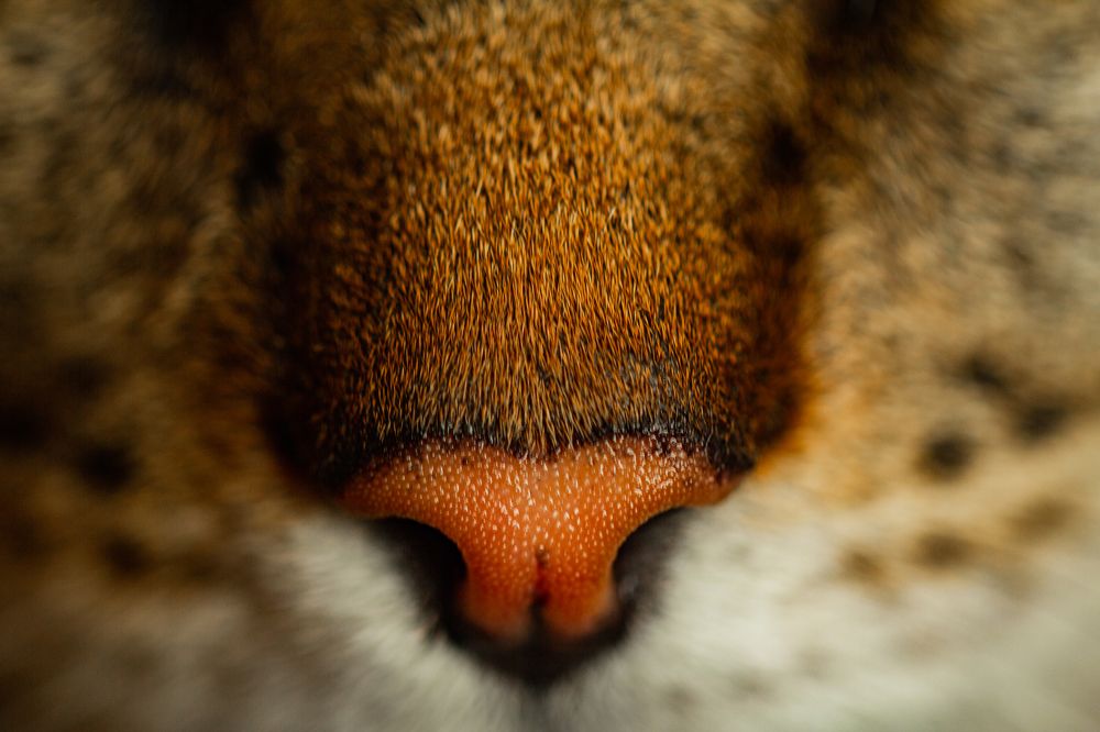 Photograph by Anton Shumanskiy