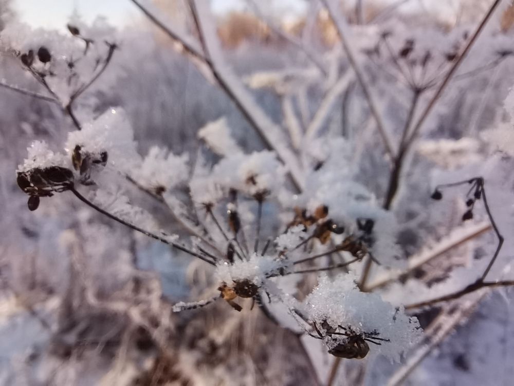 Photograph by Калинина Анастасия