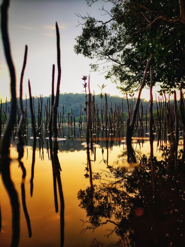 Photograph by Shakeer Mohammed