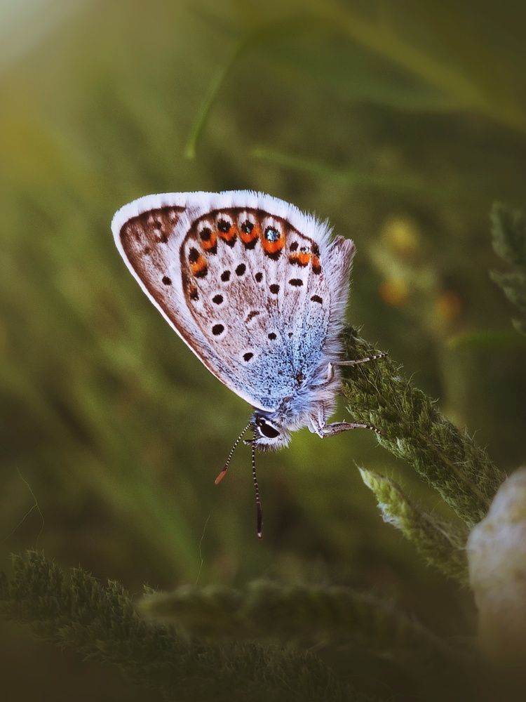Photograph by Александра Королёва