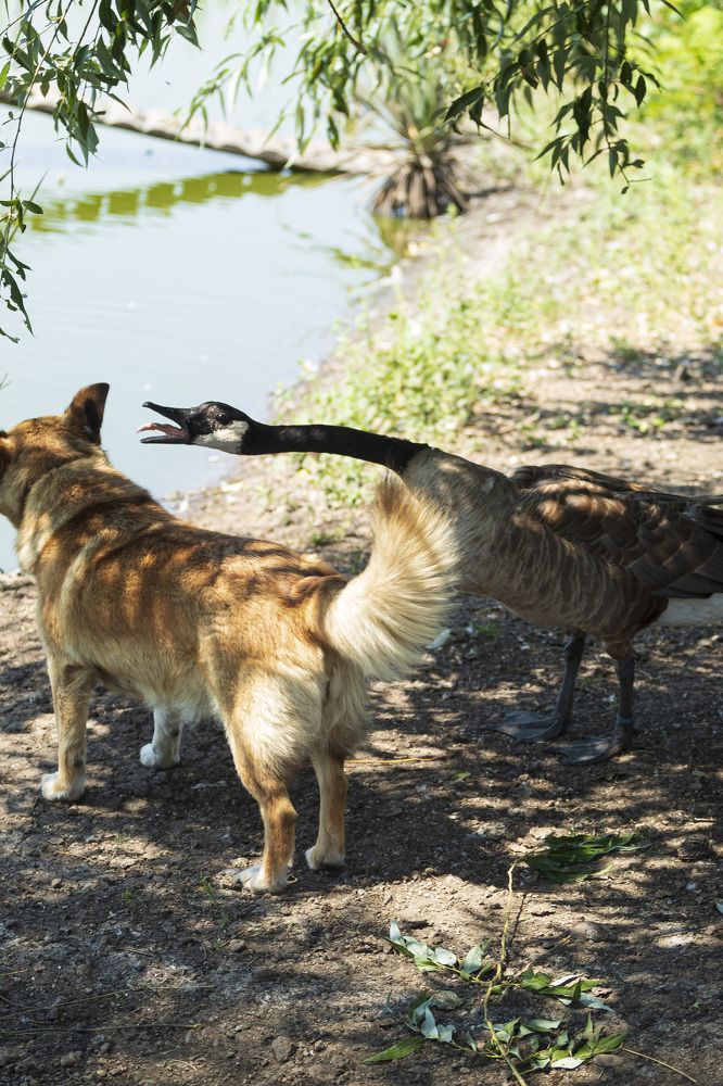 Photograph by Adelina Truhcheva