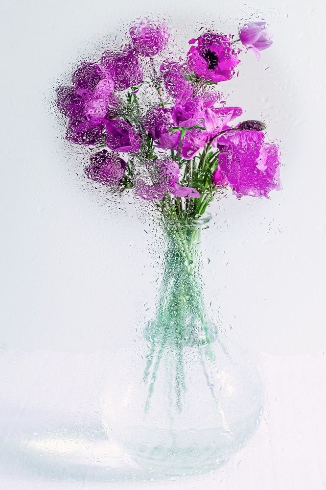 Photograph by Alexandra Sergeeva