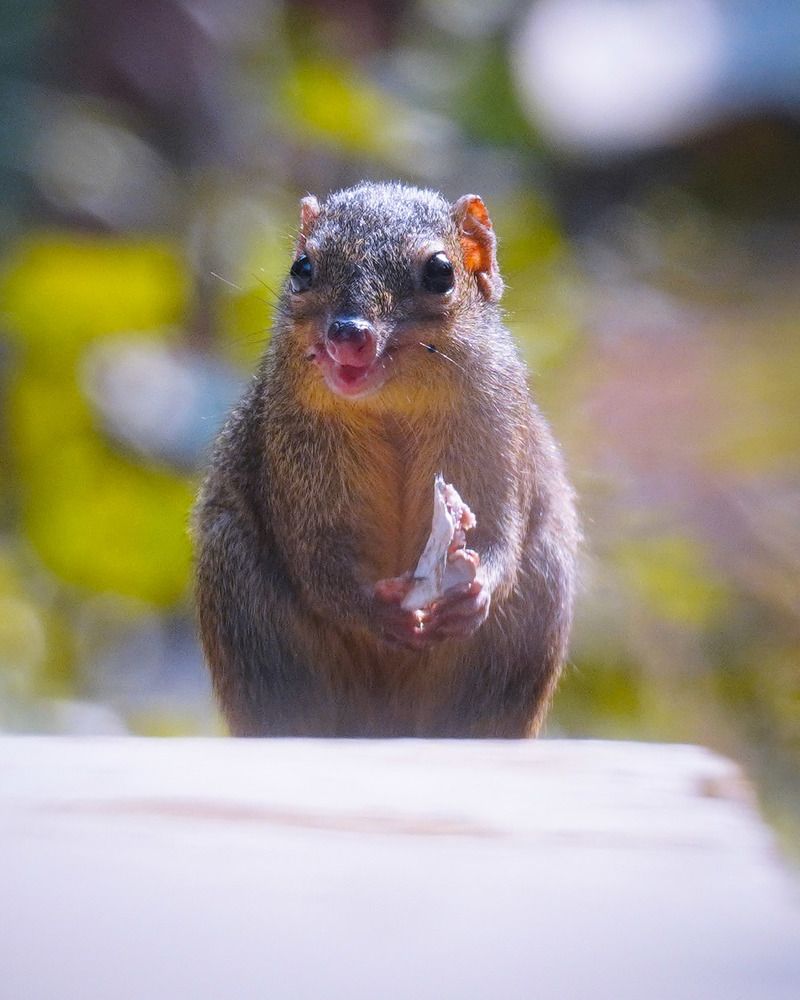 Фотография автора Md shahidul Islam