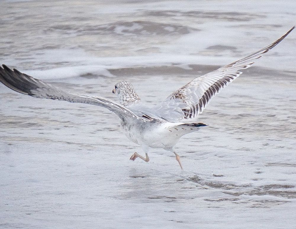 Photograph by Ethan Williams