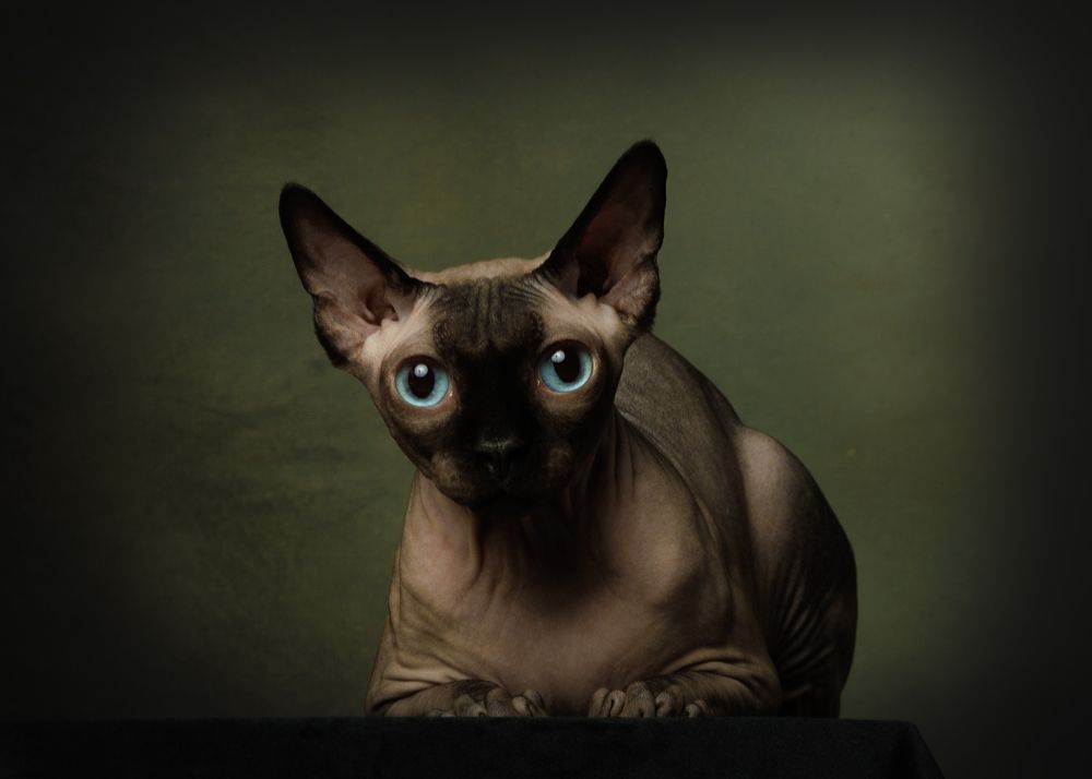 Photograph by Ольга Савельева