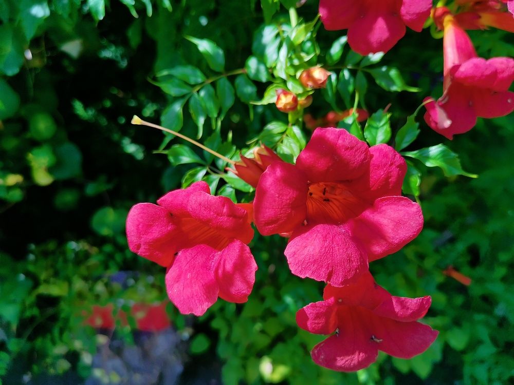 Photograph by Калинина Анастасия