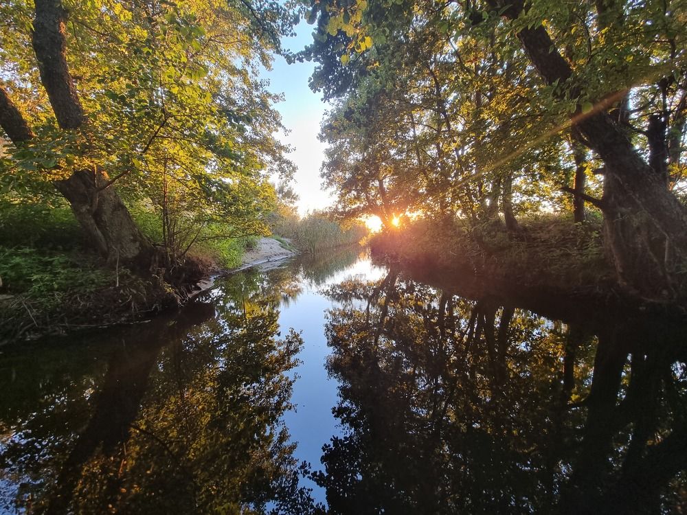 Photograph by Susanna Kari