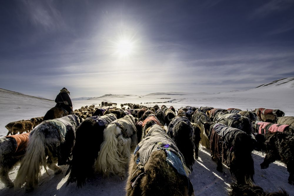 Photograph by N Nurka