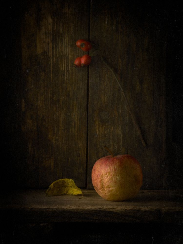 Photograph by Чернин Дмитрий