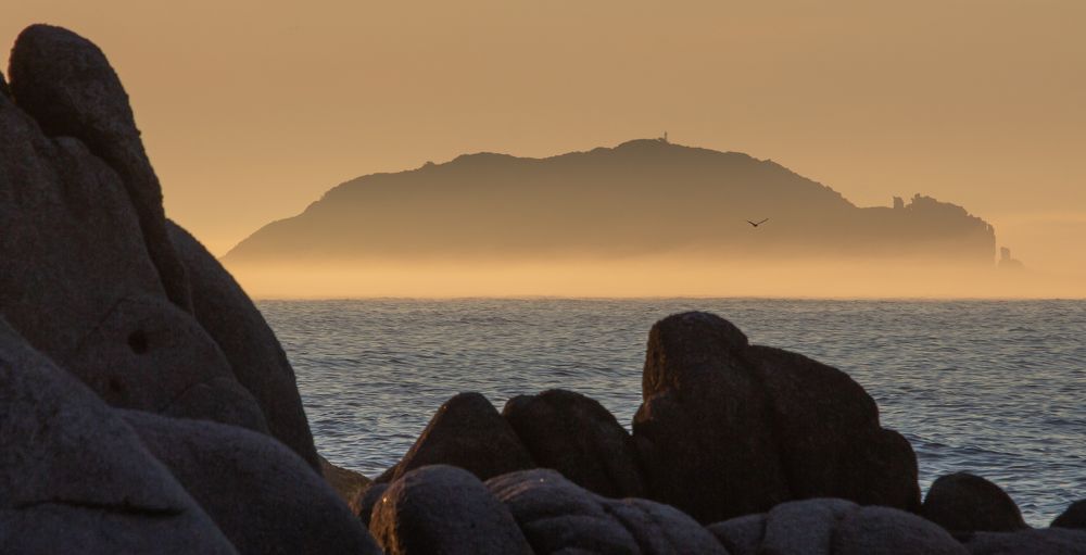 Остров Бельцова в утренней дымке