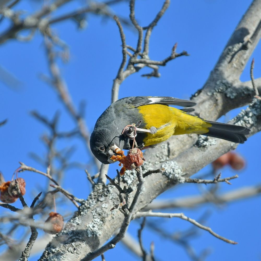 Photograph by Александр Катунцев