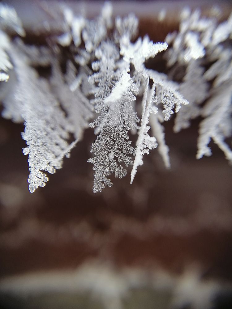 Photograph by Людмила Савчук