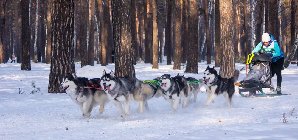 Photograph by Сергей Хранитель