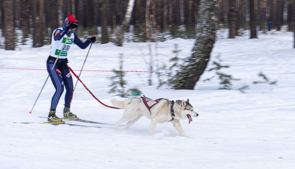 Photograph by Сергей Хранитель