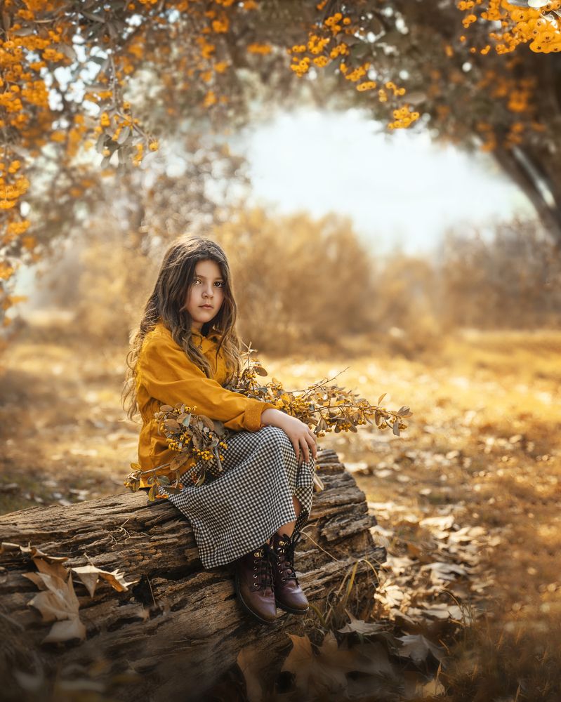 Allegra y el otoño amarillo