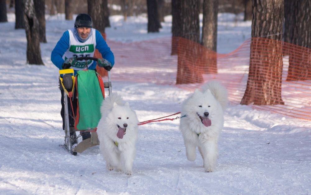 Photograph by Сергей Хранитель