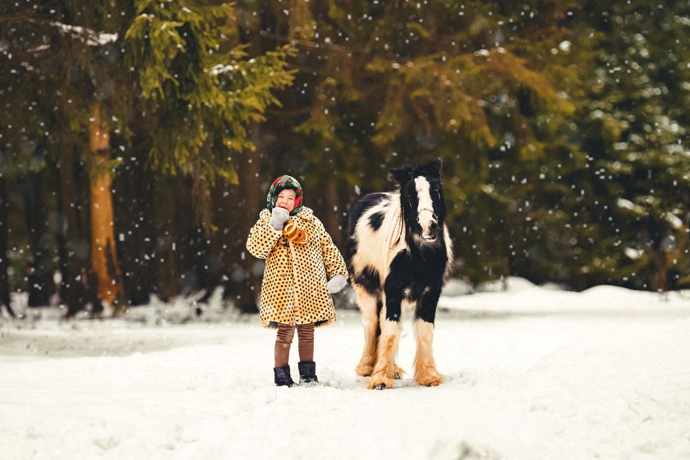 Фотография автора Дарья Лещенко