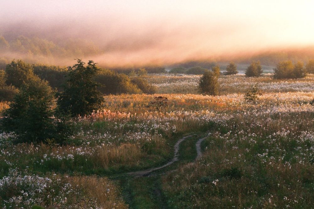 Photograph by Николай Костюк