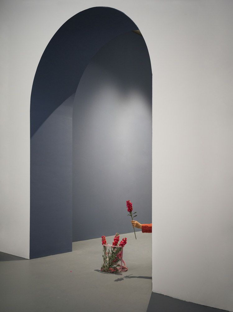 Photograph by guanxiaopeng