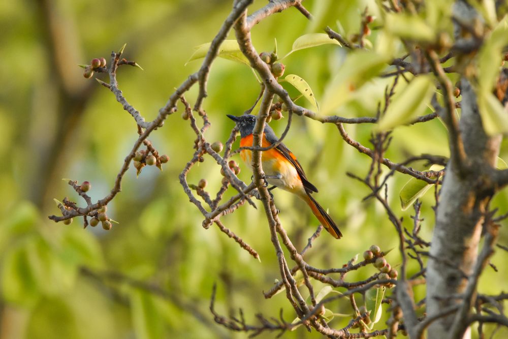 Photograph by Dinuka Sachintha