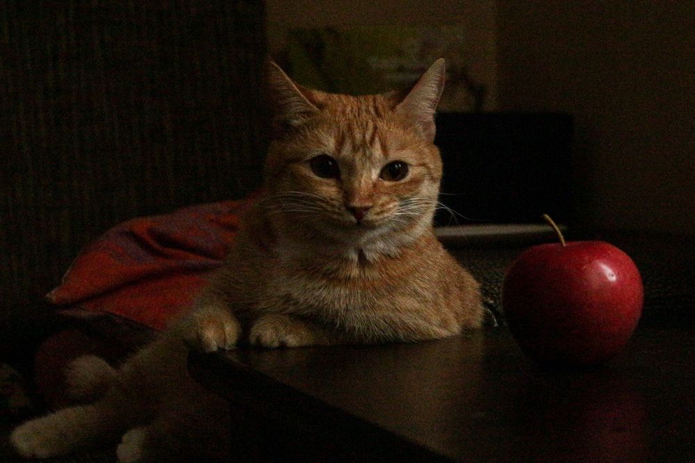 Photograph by Елена Глуховкина