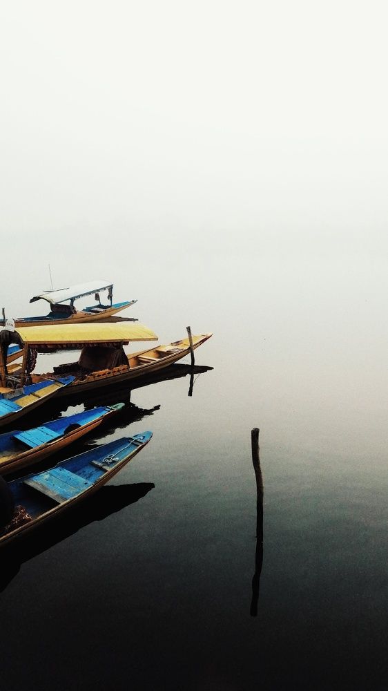 Photograph by amir feri