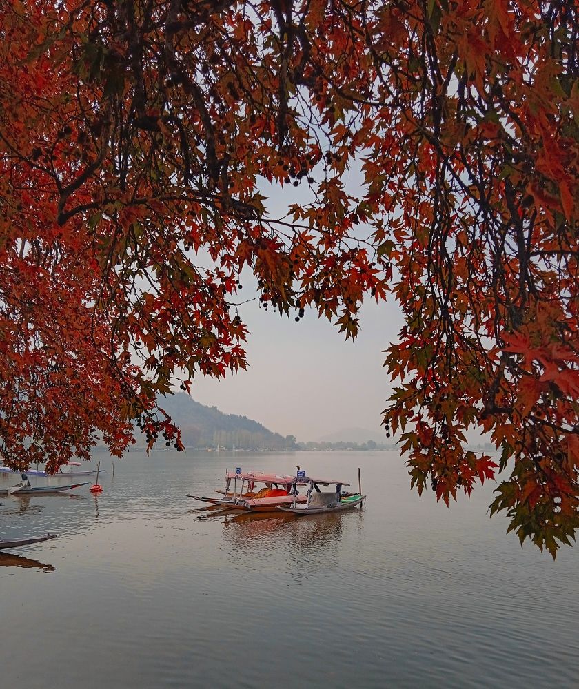 Beautiful Dal Lake during Autumn season