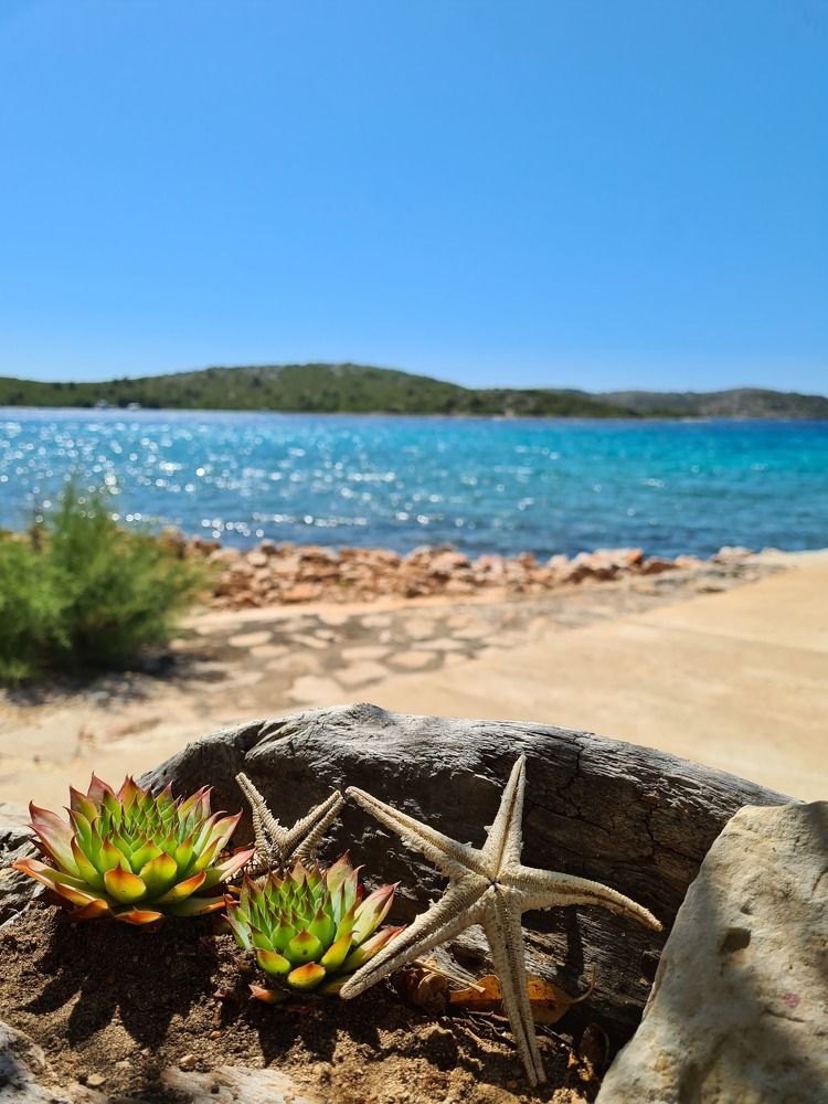 Photograph by Nenad Nakić