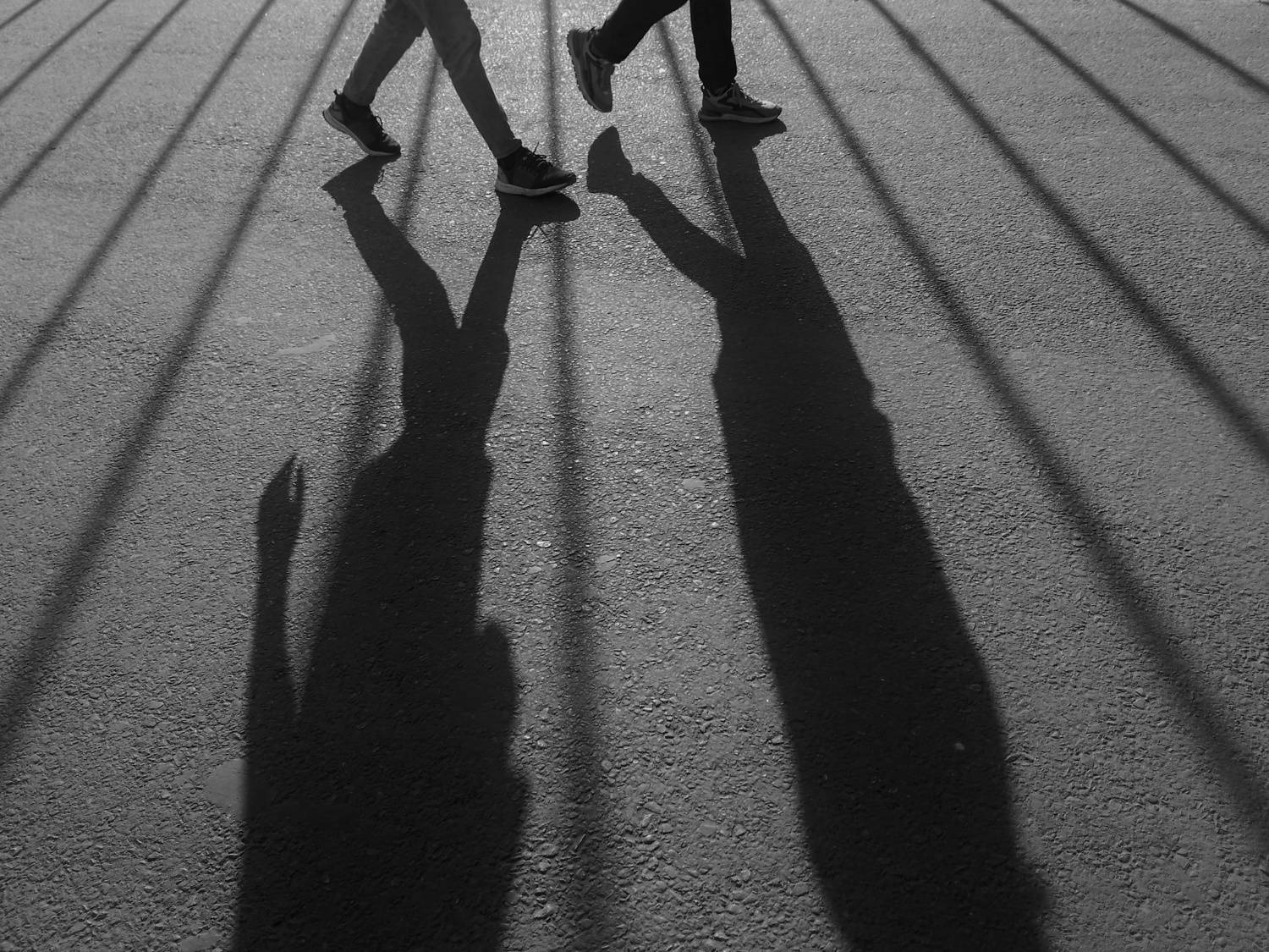 Shadow