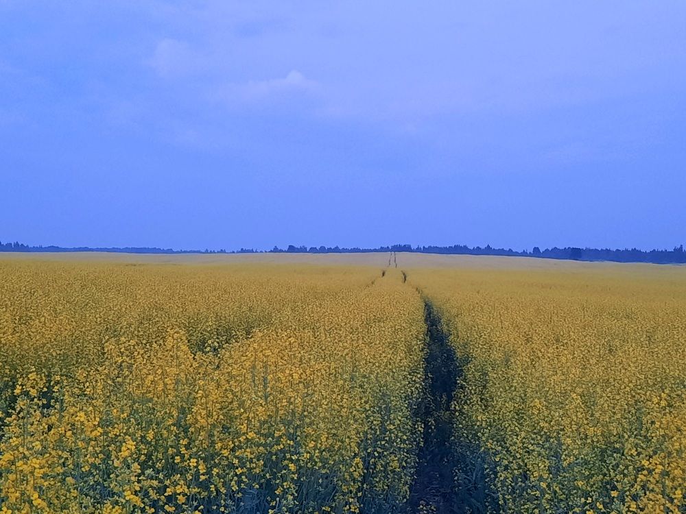 Photograph by Ольга Михайлова