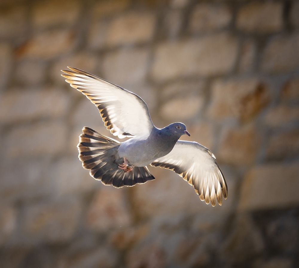 Photograph by Hannes Schwarz