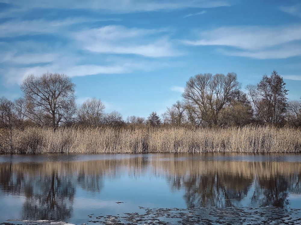 Photograph by Виктория Селютина