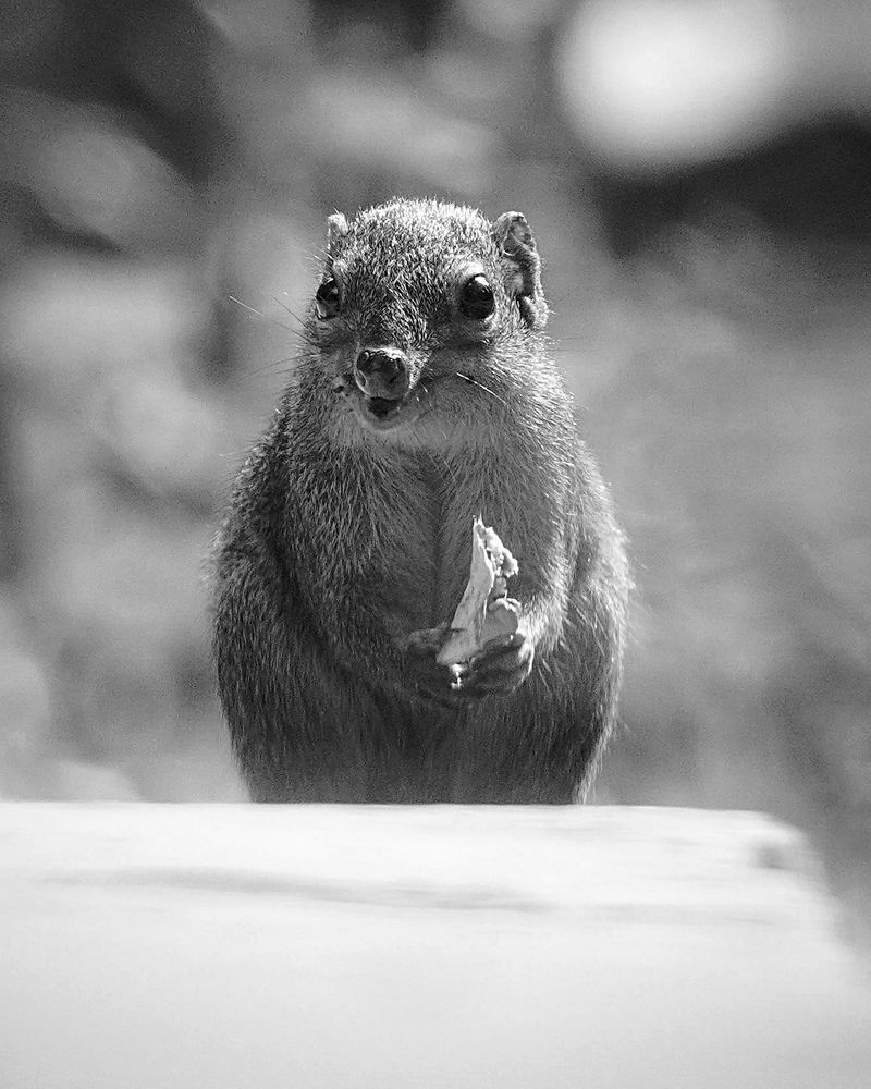 Фотография автора Md shahidul Islam