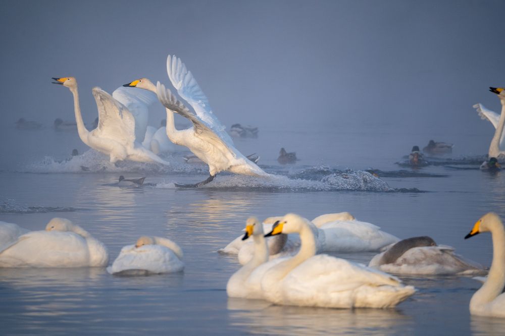Photograph by Maria Pochikaeva