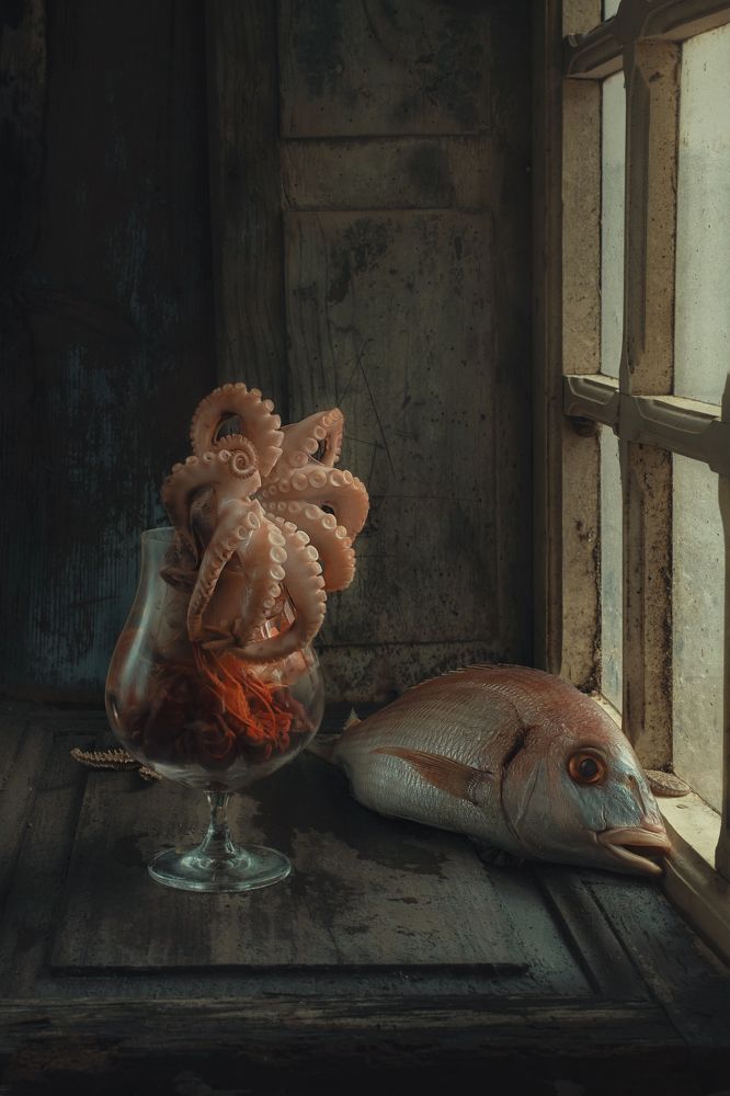 Photograph by Natalia Ricci