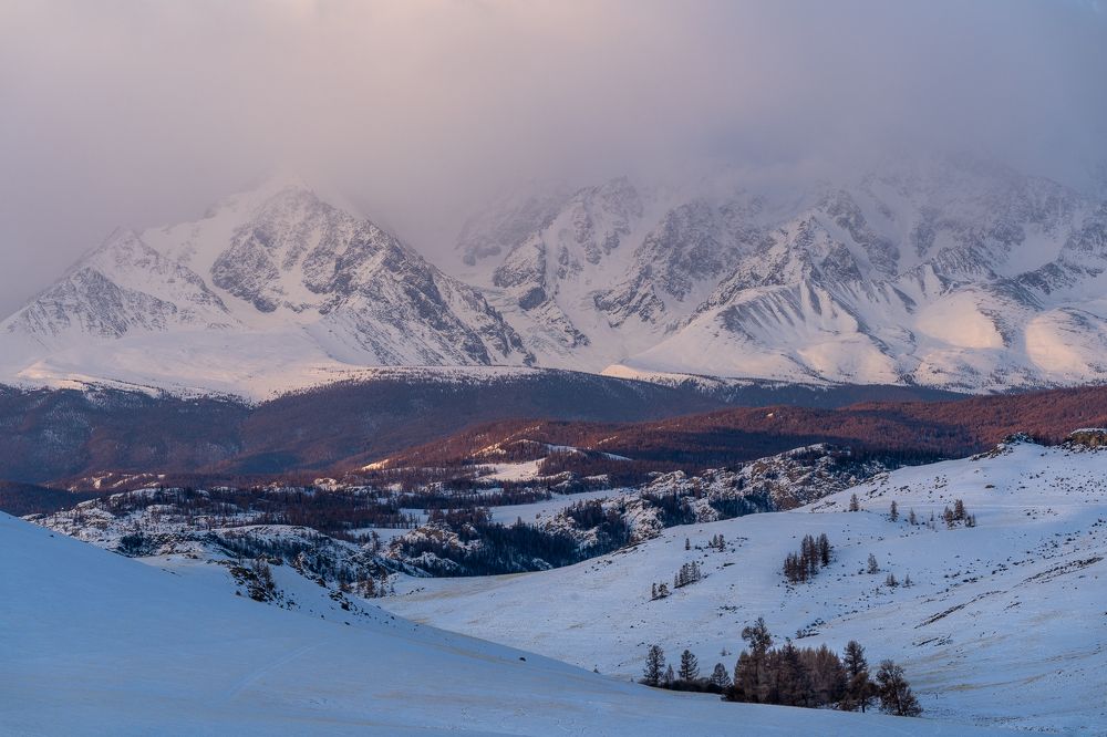 Photograph by Maria Pochikaeva