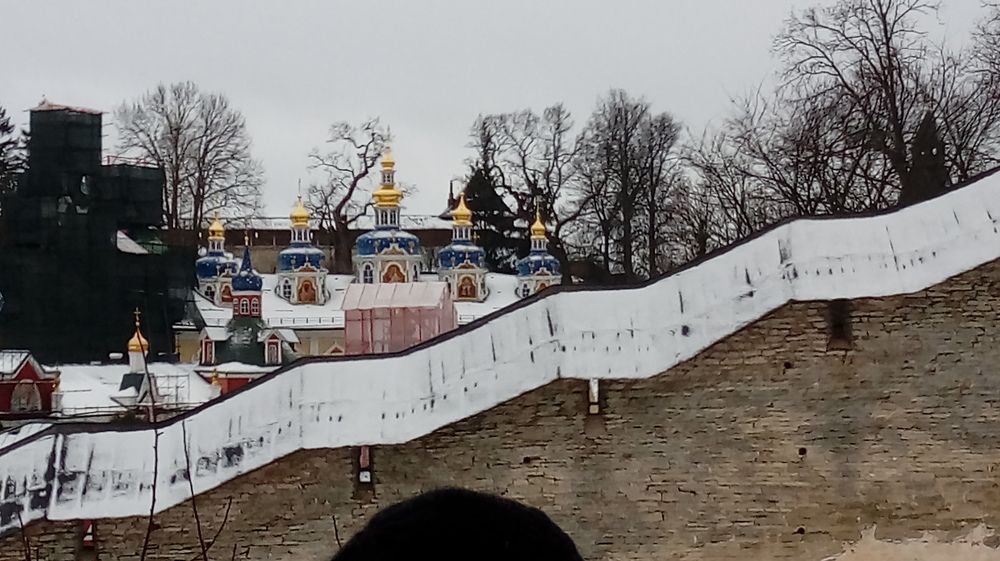 Photo #8913553