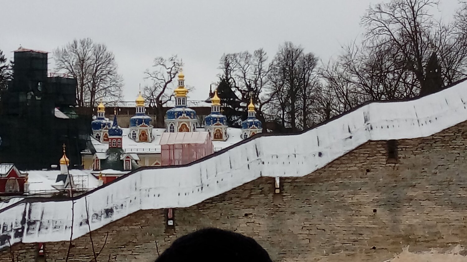 Photo #8913553