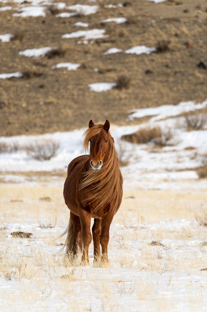 Photograph by Maria Pochikaeva