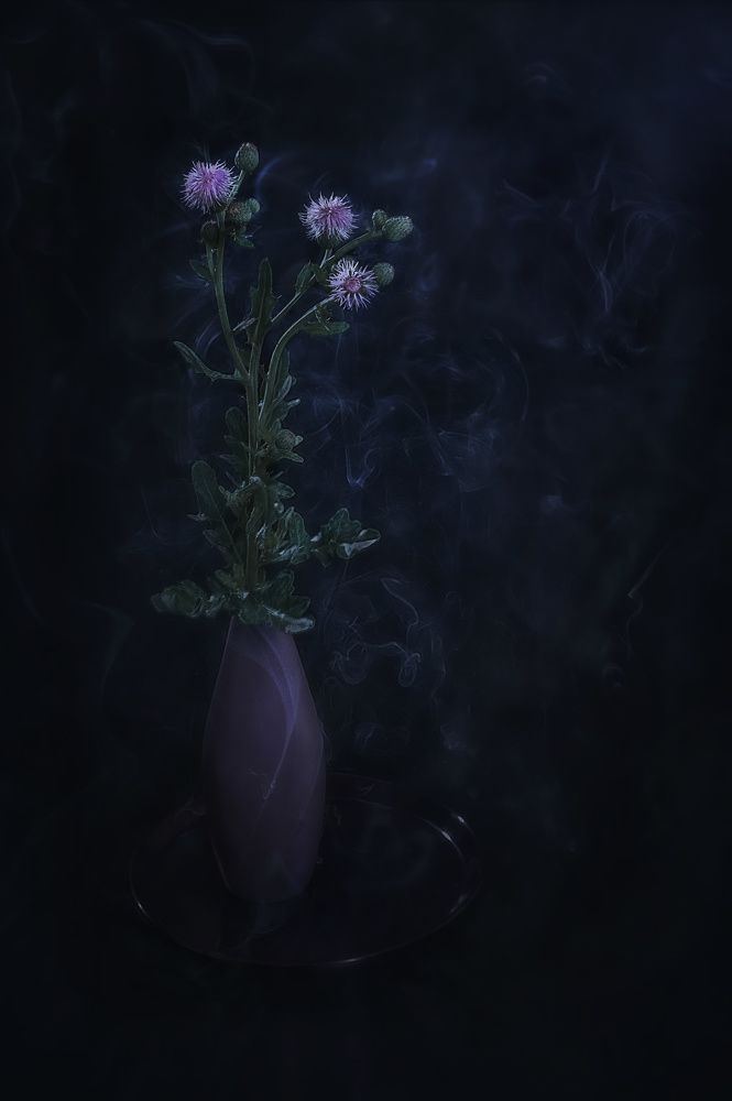 Прекрасный сорняк! Невидимая красота.