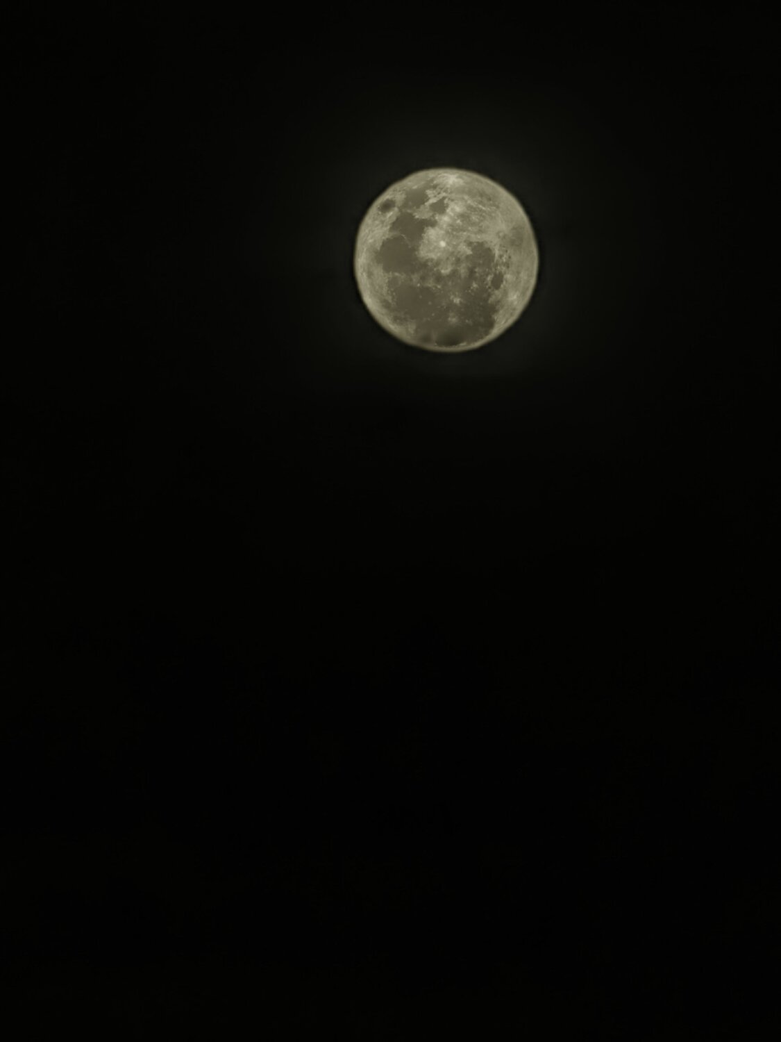 Photo #8913677
