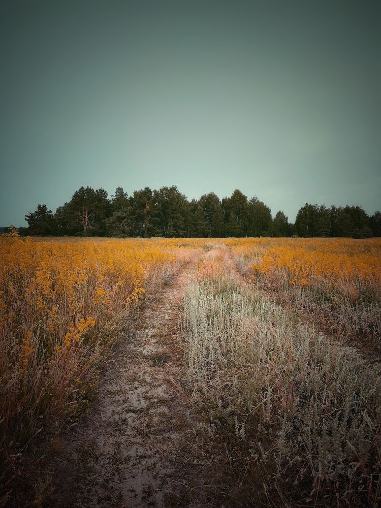 Photograph by Виктория Селютина