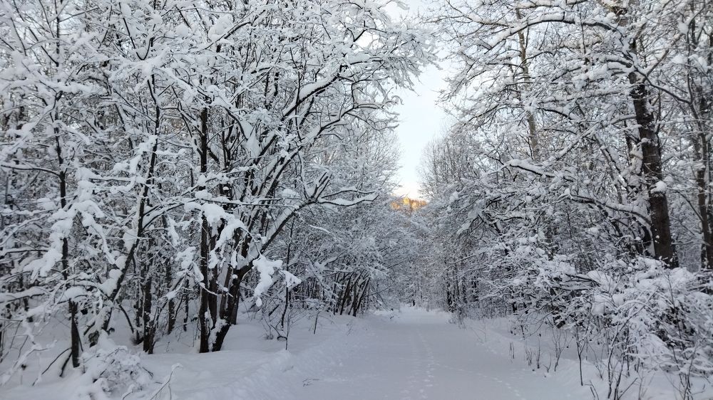 Photograph by Геннадий Лосев