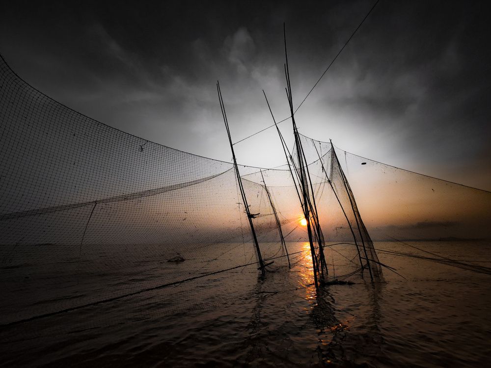 Photograph by hoang kuno