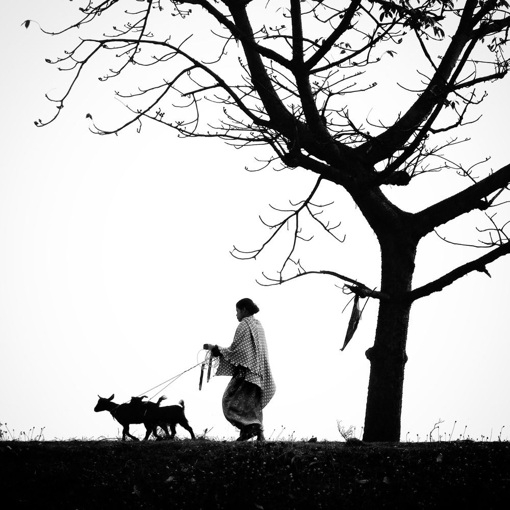 Photograph by INDRAJIT GHOSH