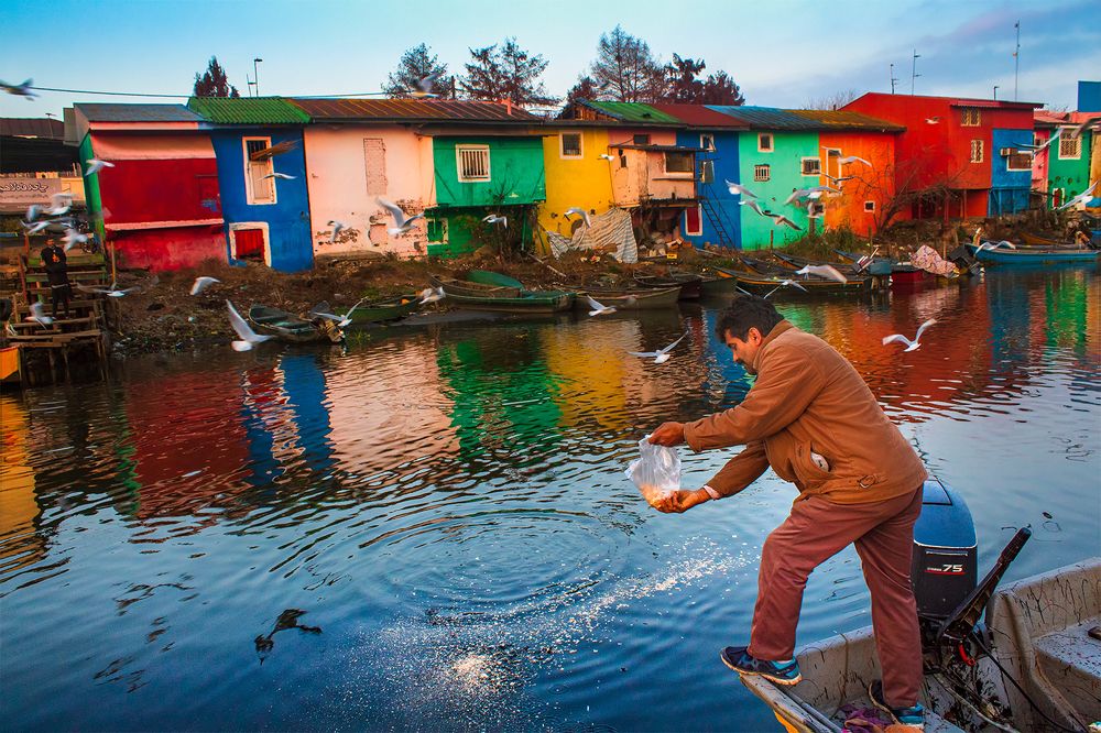 Photograph by Hengameh pirooz