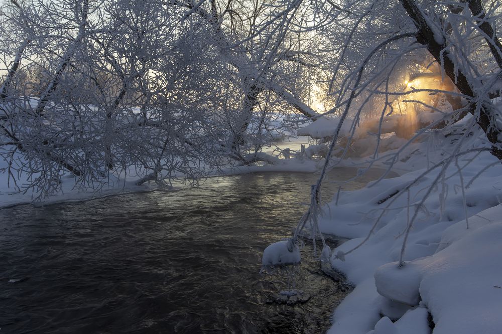 Photograph by Феденкова Татьяна