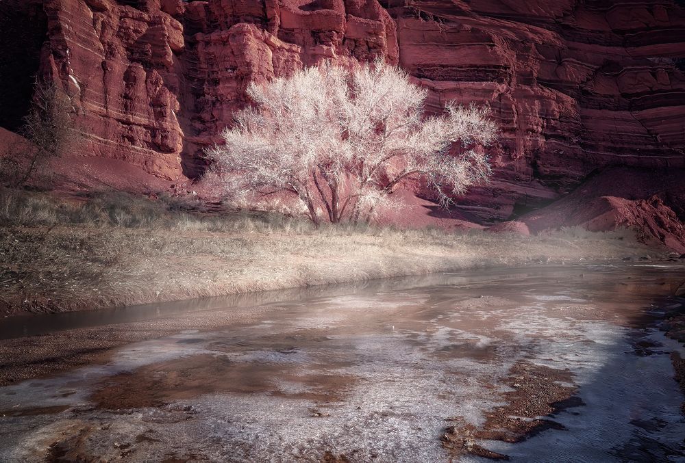 A Glorious Morning in Utah