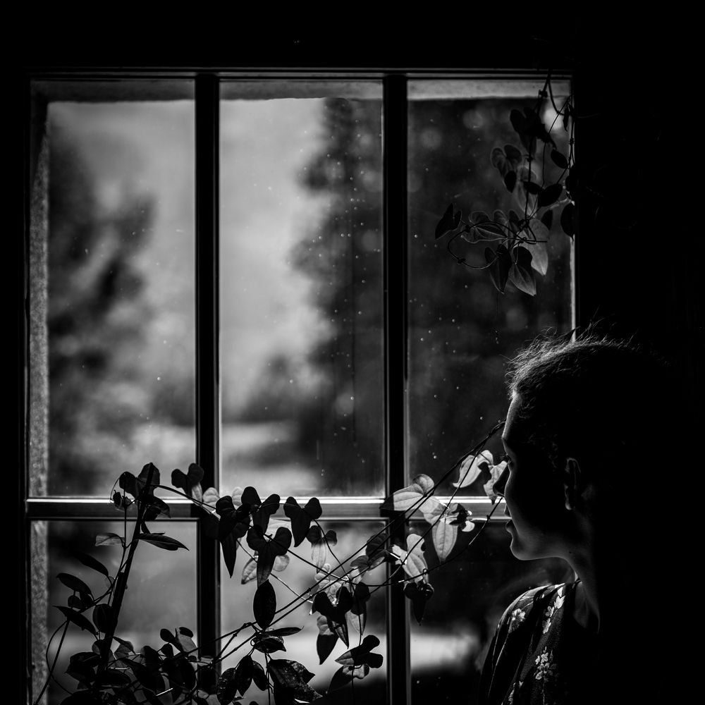 Dreaming